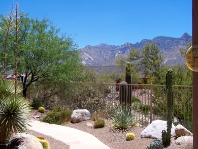 Gorgeous Mountain Views