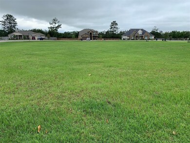 29750 Kiskadee Ln, Hockley, TX 77447 - photo 5