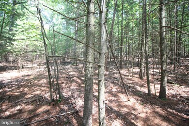 Lot 14 Slate Rock Pass Rd, Wardensville, WV 26851 - photo 6