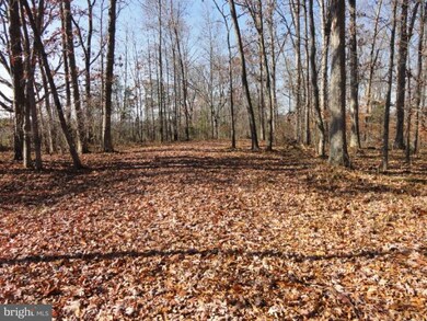 0 Mount Gilead Rd unit 1000602785, Leesburg, VA 20175 - photo 5