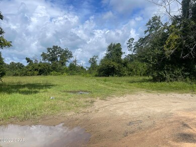 0 Carters Mill Rd unit 730122, Marianna, FL 32446 - photo 5