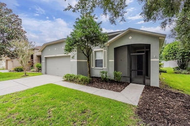 16809 Hawkglen Place, Lithia, FL 33547 - photo 3