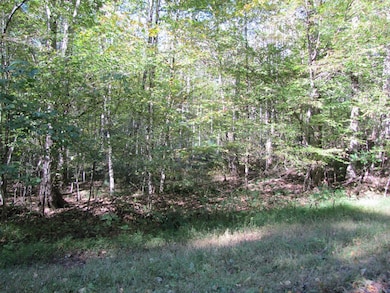 Lot 42 Melmark Acres Trail, Stuart, VA 24171 - photo 3