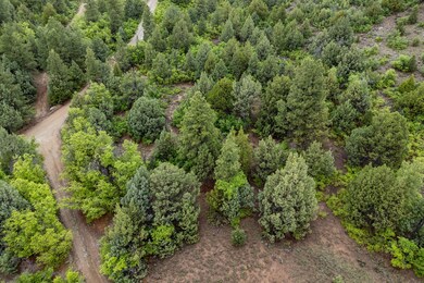 6-web-or-mls-Oak Tree Lot - www.aspencre