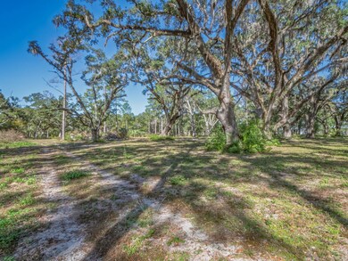 xx Coastal Hwy, Crawfordville, FL 32327 - photo 6