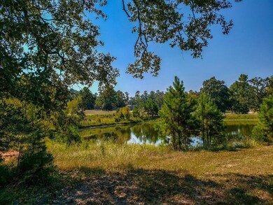 141 N Forest Dr, Huntsville, TX 77340 - photo 2