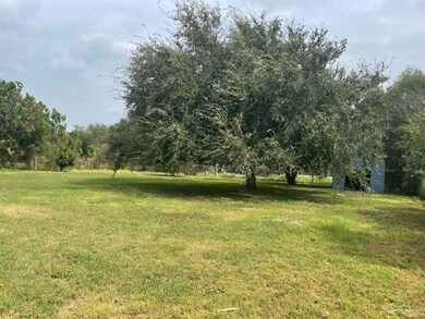 2435 Clearview Dr, Donna, TX 78537 - photo 4