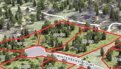 104 (Lot 128) Winterberry Ct, Durango, CO 81301 - photo 4