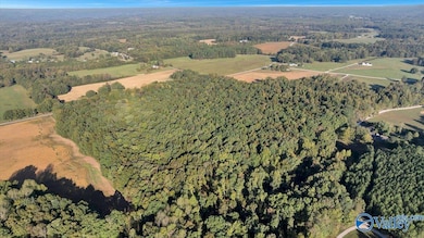 20 Acres Little Coffman Rd, Lester, AL 35647 - photo 4