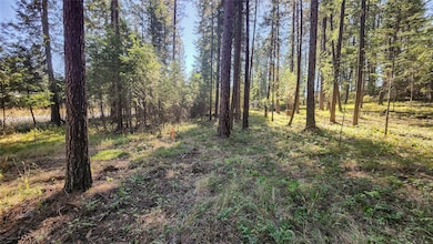 1505 Kootenai River Rd, Libby, MT 59923 - photo 7