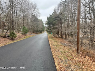 0 Crest View Dr 45 Aka Birch Dr, Blakeslee, PA 18610 - photo 3