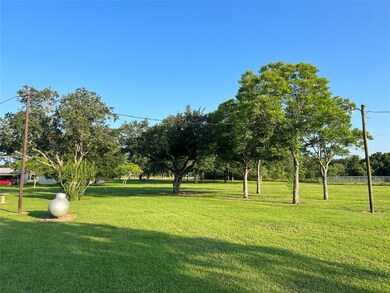 Amazing back yard