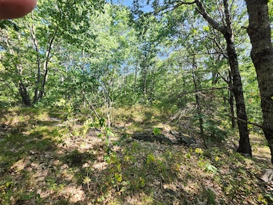 055 Wiscasset Rd, Whitefield, ME 04353 - photo 3