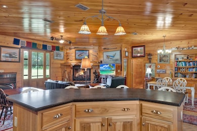 257 Carpenter Rd, Rupert, GA 31081 - photo 4