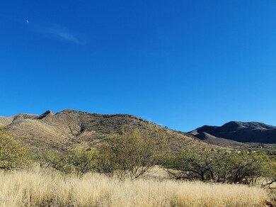 Mesquite Mesa