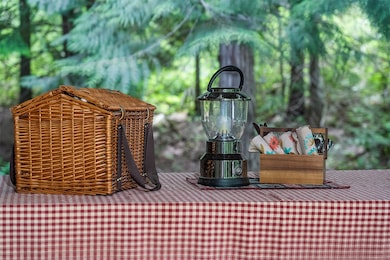 Whimsical forest surroundings