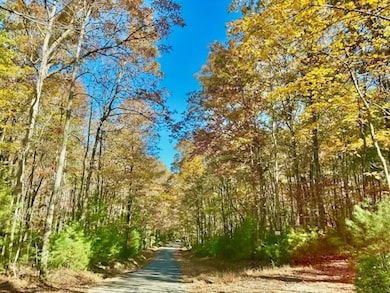 156 Peter Knob Rd, Blue Ridge, GA 30513 - photo 2