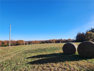 0 Plumlee Rd, Compton, AR 72624 - photo 2