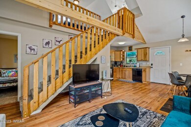 3390ApacheDr-HeberOvergaard-AZ-13