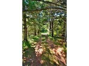 Pathway to the shorefront.