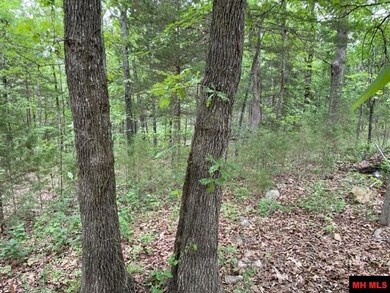 1293 County Road 852, Elizabeth, AR 72531 - photo 6