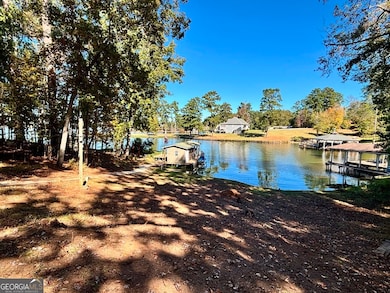 40 David Powell Rd, Sparta, GA 31087 - photo 6