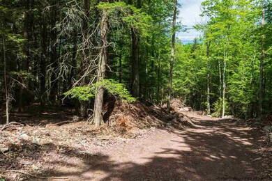 0 Legg Rd unit 20221826, Haines Falls, NY 12436 - photo 7