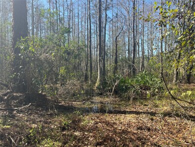 Water - Pond - Marsh