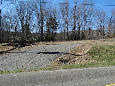 TBD Saint Moritz Dr, Fancy Gap, VA 24328 - photo 2