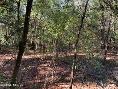 Graves II - 000 Drayton Ave