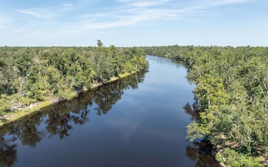 0 Lot 29 188th Trail, Live Oak, FL 32060 - photo 2