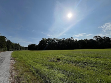 0 Hudspeth Rd, Hickory Flat, MS 38633 - photo 3