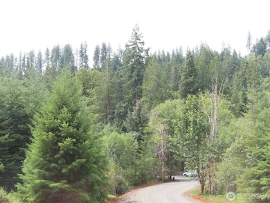 0 Lot B Mill Creek Rd, Longview, WA 98632 - photo 5