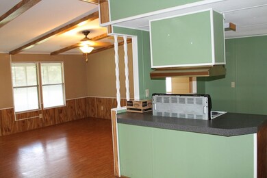 859 McMath Mill Road Extension, Americus, GA 31719 - photo 4