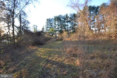 1312 Ednor Rd, Silver Spring, MD 20905 - photo 2