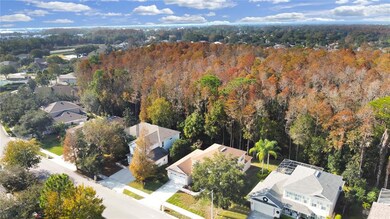 561 Lakewood Dr, Oldsmar, FL 34677 - photo 5