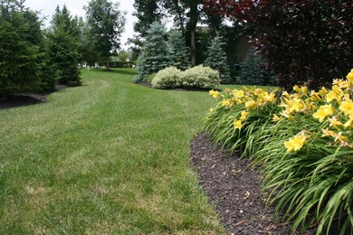 6920 Brodie Blvd, Dublin, OH 43017 - photo 7