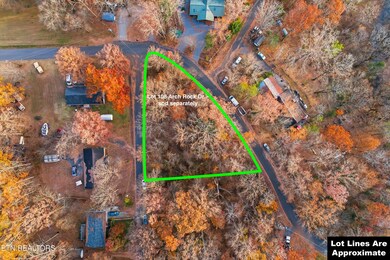 Lot 107 Caughron Dr, Sevierville, TN 37876 - photo 6