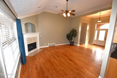 Living room fireplace