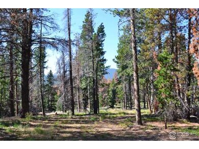 268 Elk Bugle Way, Bellvue, CO 80512 - photo 6