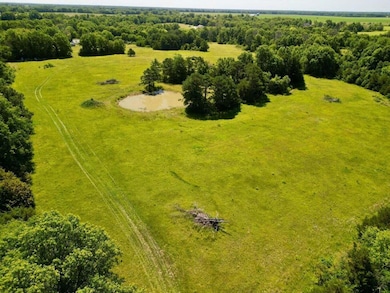 Tract 1 D Audrain Rd 935, Mexico, MO 65265 - photo 2