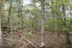 0 Wolf Springs Rd N, Harrison, AR 72601 - photo 2