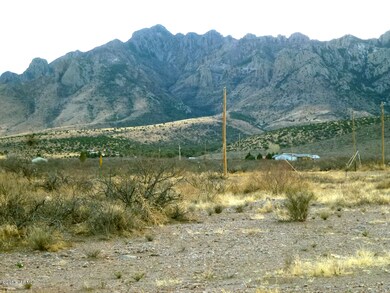 7.8 Acres S Acacia Ln, Portal, AZ 85632 - photo 5