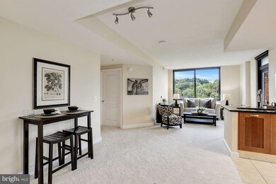 Midtown Alexandria Station Condominiums unit 1119, Alexandria, VA 22303 - photo 3