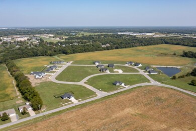 Aerial view of subdivision