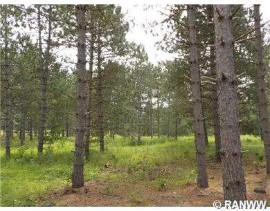 26853 Icehouse Bridge Rd, Webster, WI 54893 - photo 4