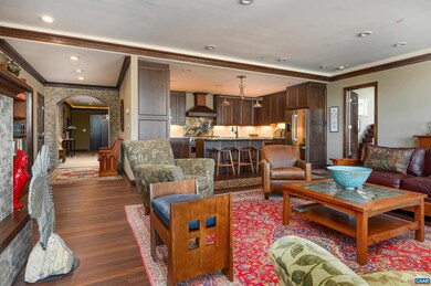 218 W Water St unit 601, Charlottesville, VA 22902 - photo 3