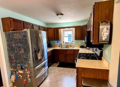 209 Burt St, Tecumseh, MI 49286 - photo 5