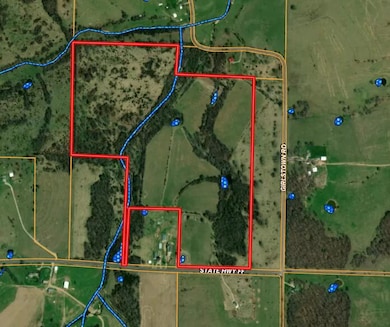 9551 C-Highway Ff, Mountain Grove, MO 65711 - photo 3