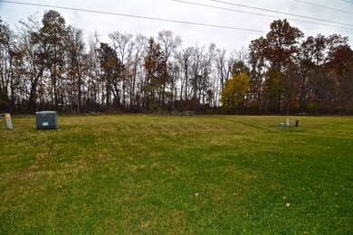 Rear Yard
